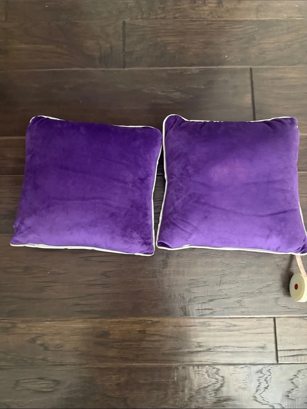 Spirit Halloween Beetlejuice Pillows Set of Two 11in x 11in